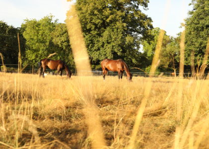 Conception d’hébergement ECO-ETHO responsable