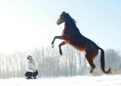 Les tours de spectacle