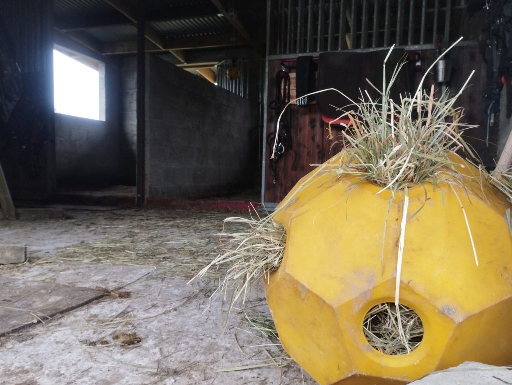 Enrichissement chevaux-balle à foin-Anouchka Secol